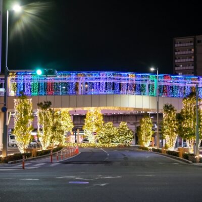 越谷周辺でお散歩観光スポットを紹介！暇つぶしにもおススメ【越谷アルファーズ】